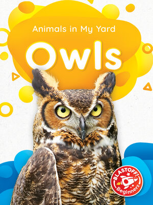 cover image of Owls